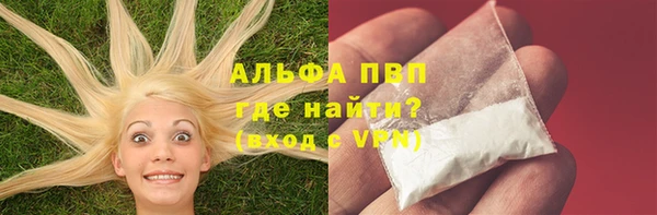 спиды Аркадак