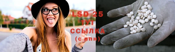 спиды Аркадак