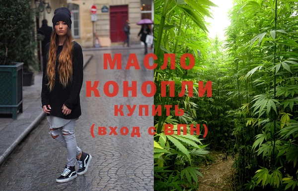 крисы Армянск