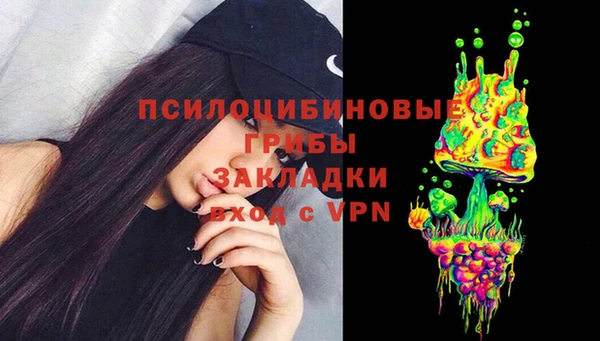 крисы Армянск
