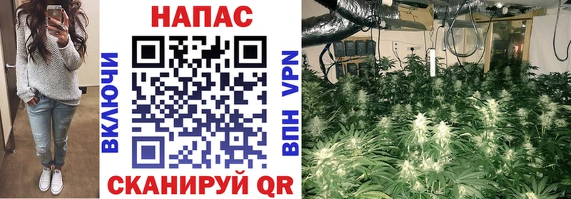 KRAKEN как войти Аткарск Каннабис Bruce Banner